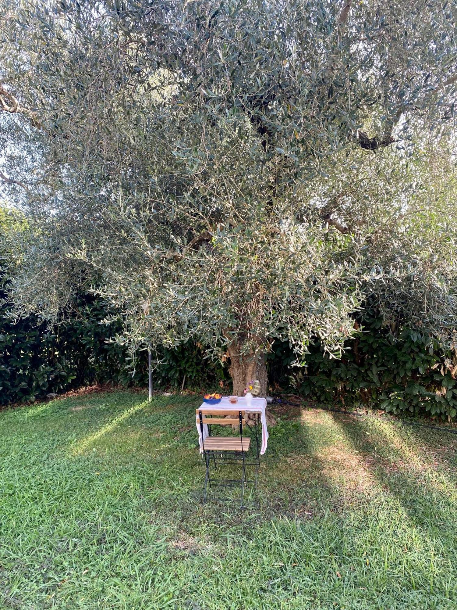 La Locanda Del Tevere Fiano Romano Exteriör bild