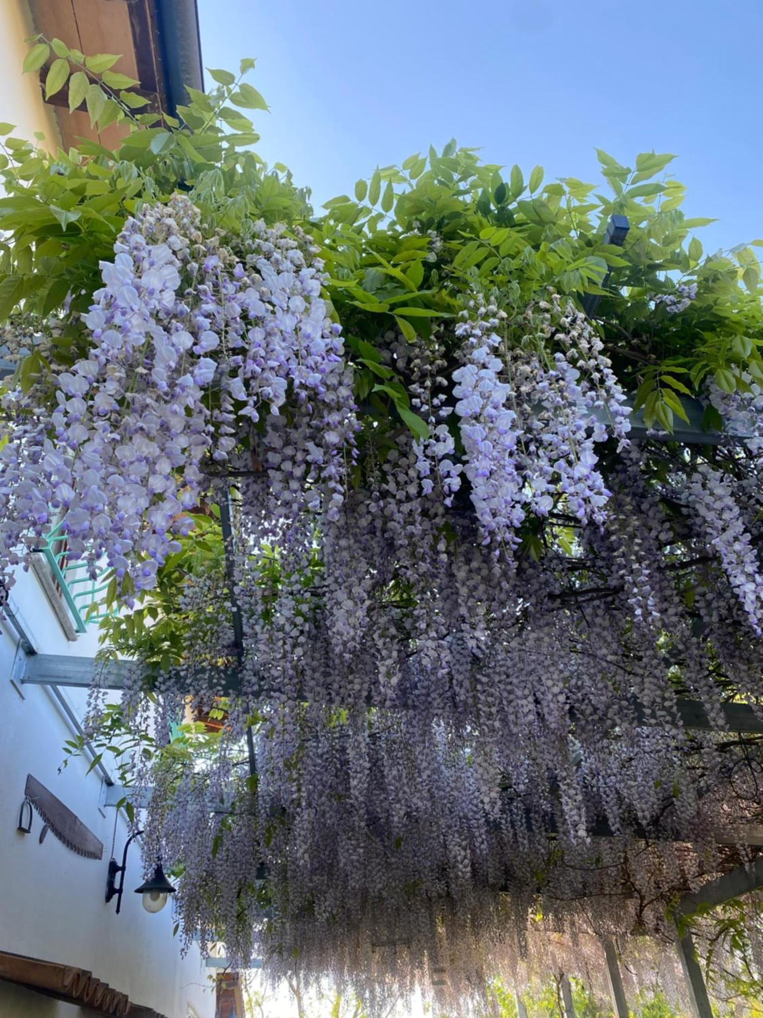 La Locanda Del Tevere Fiano Romano Exteriör bild
