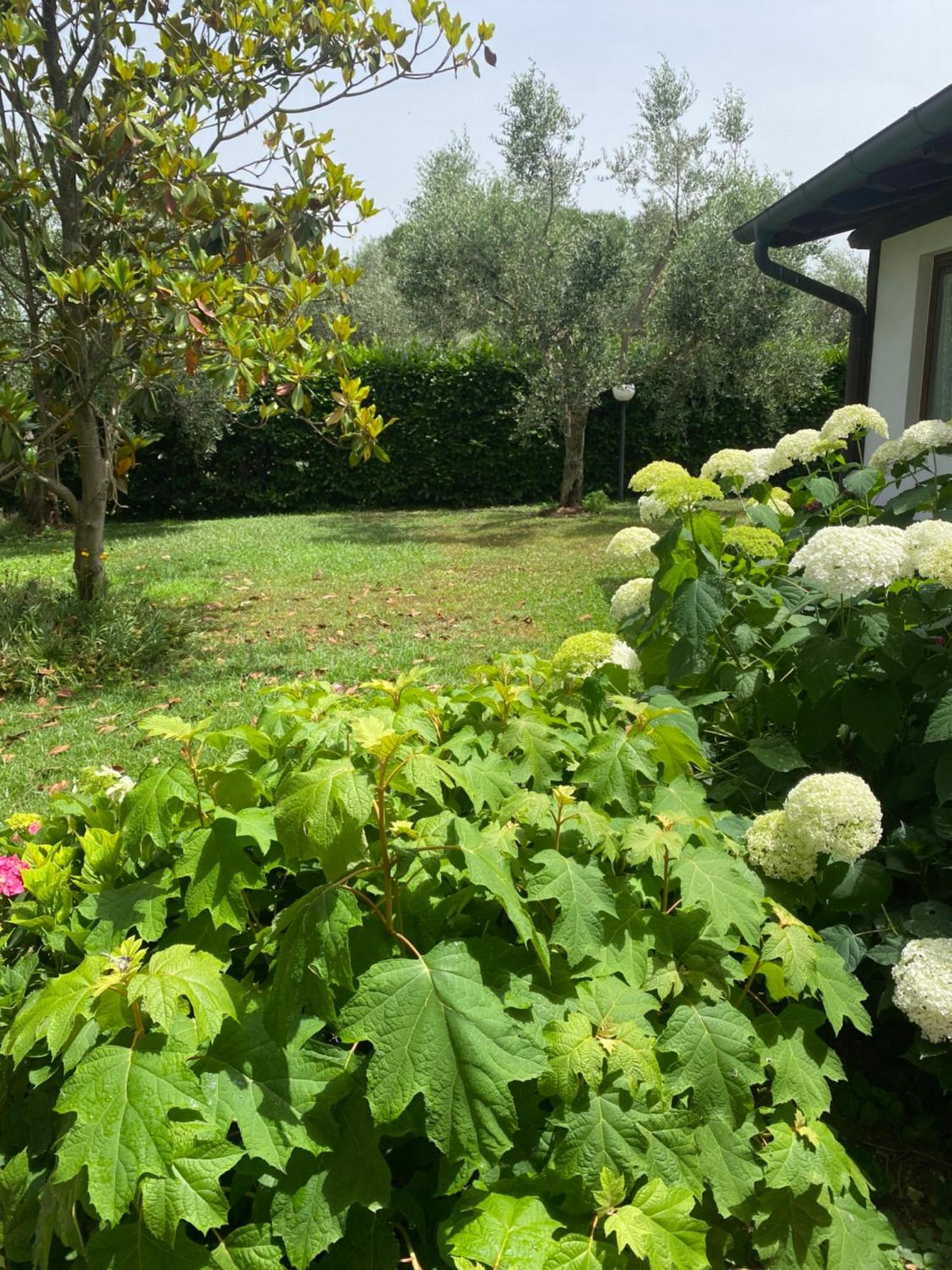 La Locanda Del Tevere Fiano Romano Exteriör bild